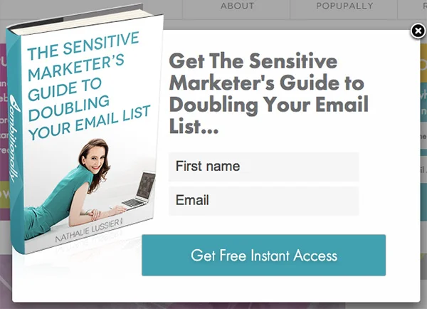 wordpress click popup example - PopupAlly Pro wordpress click popup example
