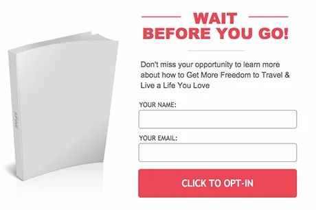 Screenshot of wait before you go popup